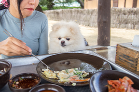 [입선] 부침개를 향한 강아지의 시선