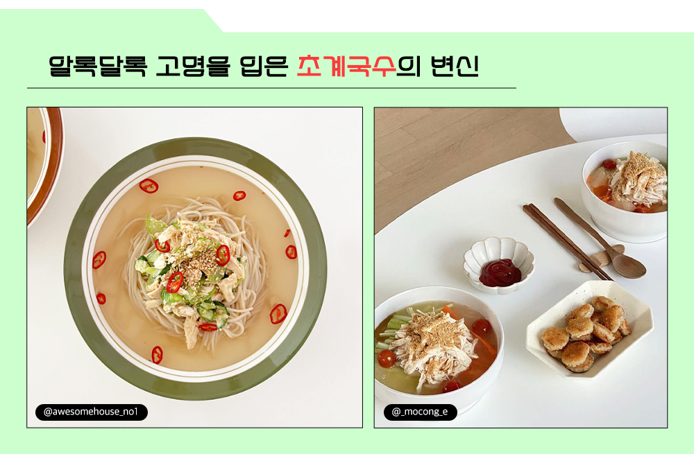 알록달록 고명을 입은 초계국수의 변신