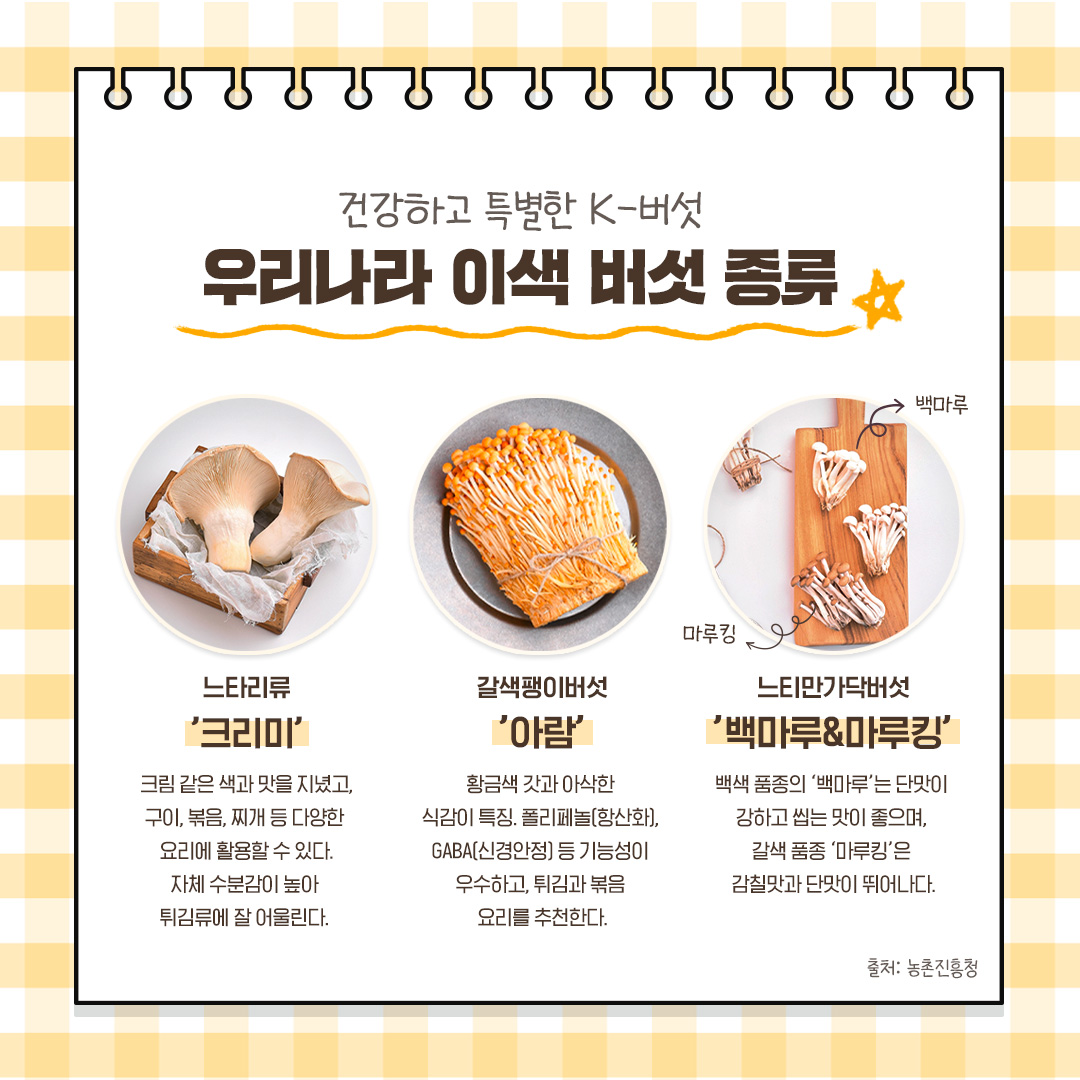 건강하고 특별한 K-버섯. 우리나라 이색 버섯 종류. 느타리류 ‘크리미’: 크림 같은 색과 맛을 지녔고, 구이, 볶음, 지개 등 다양한 요리에 활용할 수 있다. 자체 수분감이 높아 튀김류에 잘 어울린다. 갈색팽이버섯 ‘아람’: 황금색 갓과 아삭한 식감이 특징. 폴리페놀(항산화), GABA(신경안정) 등 기능성이 우수하고, 튀김과 볶음 요리를 추천한다. 느티만가닥버섯 ‘백마루&마루킹’: 백색 품종의 ‘백마루’는 단맛이 강하고 씹는 맛이 좋으며, 갈색 품종 ‘마루킹’은 감칠맛과 단맛이 뛰어나다. 출처: 농촌진흥청