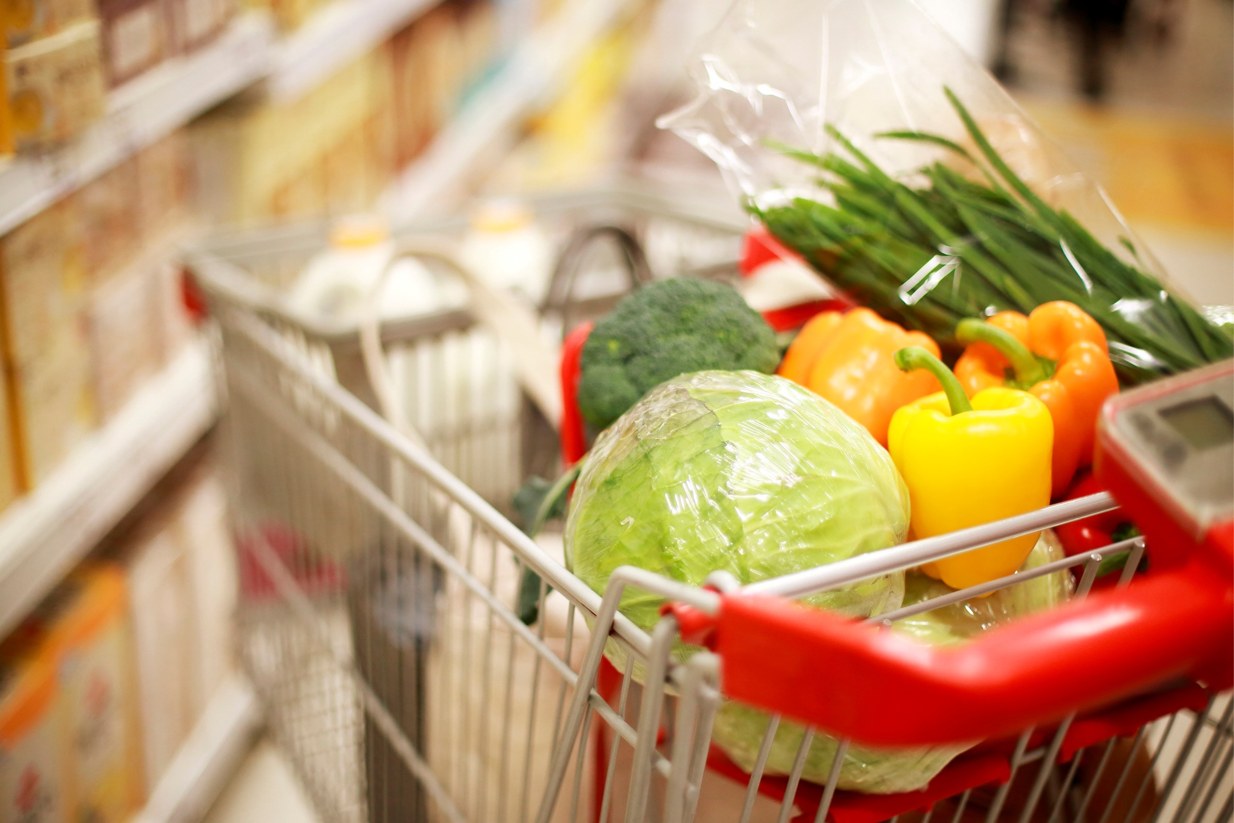 Hansik: Embracing the True Value of Vegetarianism