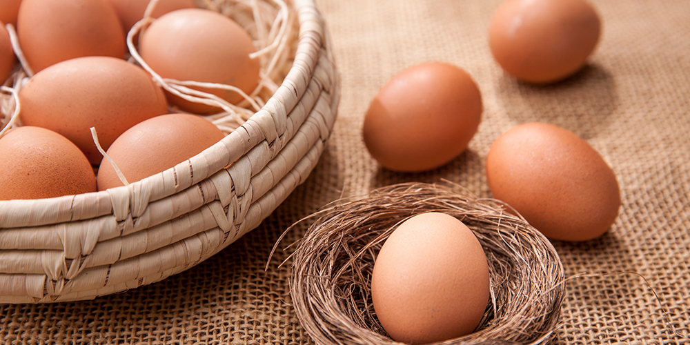 eggs