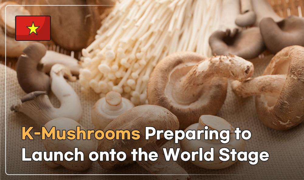 K-Mushrooms Preparing to Launch onto the World Stage