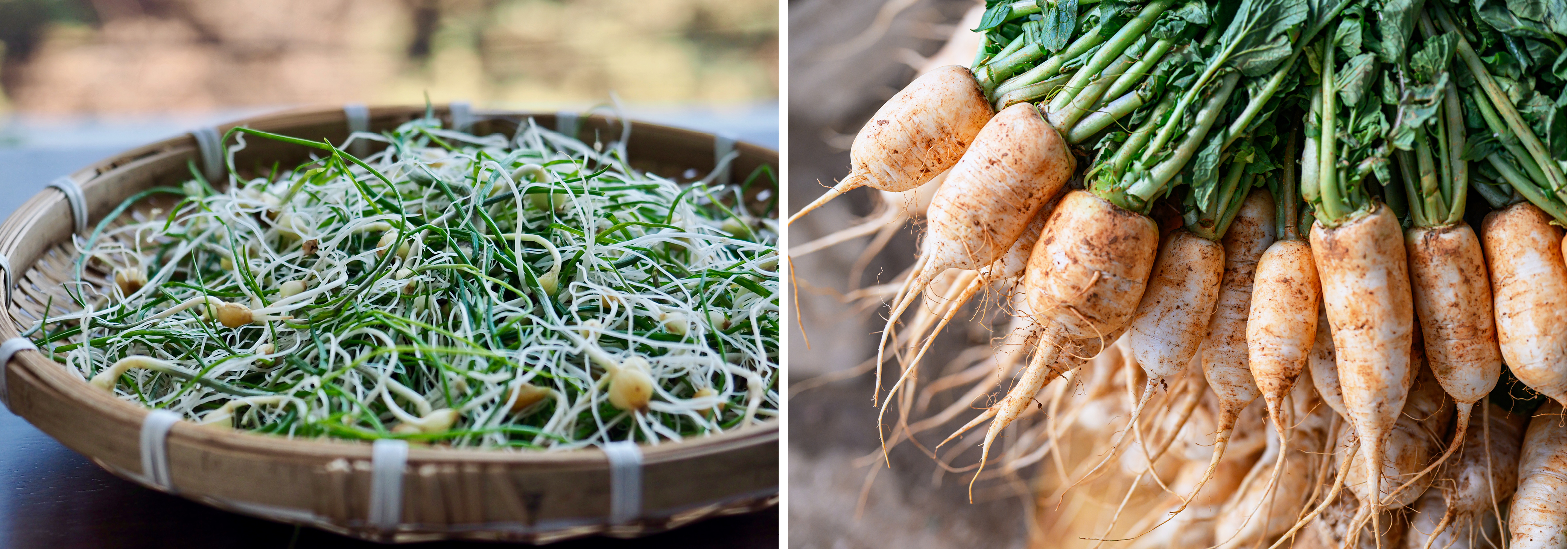 Korean Cuisine: Where Ancestral Wisdom Meets Zero Waste