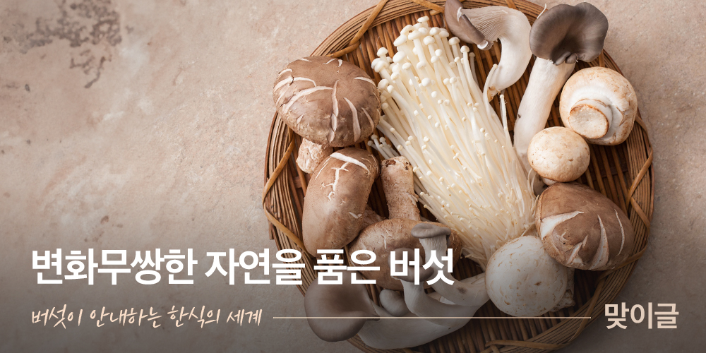 변화무쌍한 자연을 품은 버섯. 버섯이 안내하는 한식의 세계 – 맞이글
