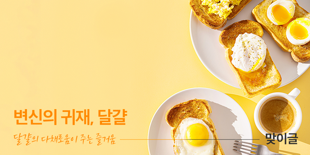 변신의 귀재, 달걀. 달걀의 다채로움이 주는 즐거움 – 맞이글