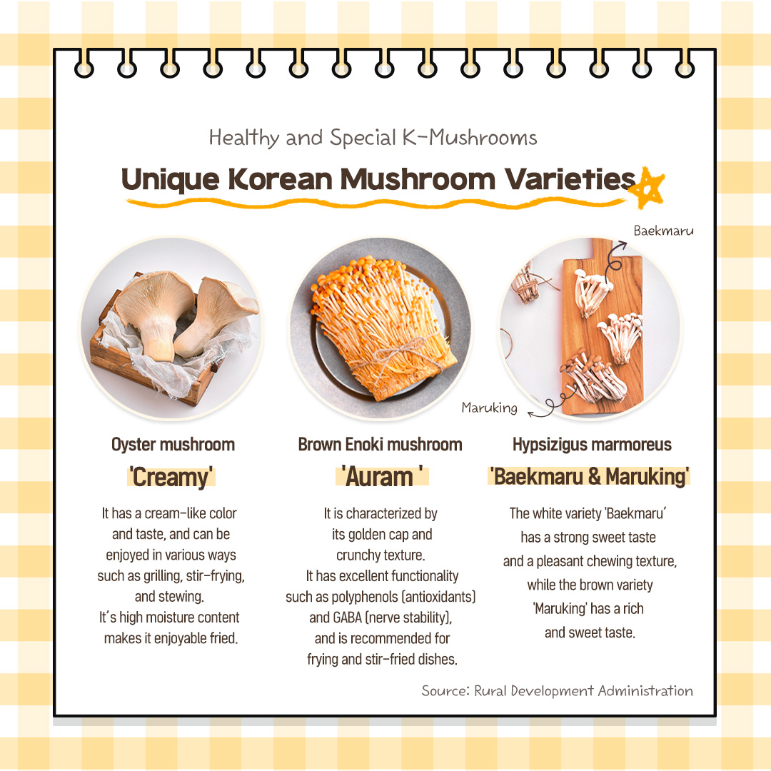 Healthy and Special K-Mushrooms Unique Korean Mushroom Varieties Oyster mushroom 'Creamy' It has a cream-like color and taste, and can be enjoyed in various ways such as grilling, stir-frying, and stewing. It's high moisture content makes it enjoyable fried. Brown Enoki mushroom 'Auram' It is characterized by its golden cap and crunchy texture. It has excellent functionality such as polyphenols (antioxidants) and GABA (nerve stability), and is recommended for frying and stir-fried dishes. Hypsizigus marmoreus 'Baekmaru & Maruking' The white variety 'Baekmaru' has a strong sweet taste and a pleasant chewing texture, while the brown variety 'Maruking' has a rich and sweet taste. Source: Rural Development Administration