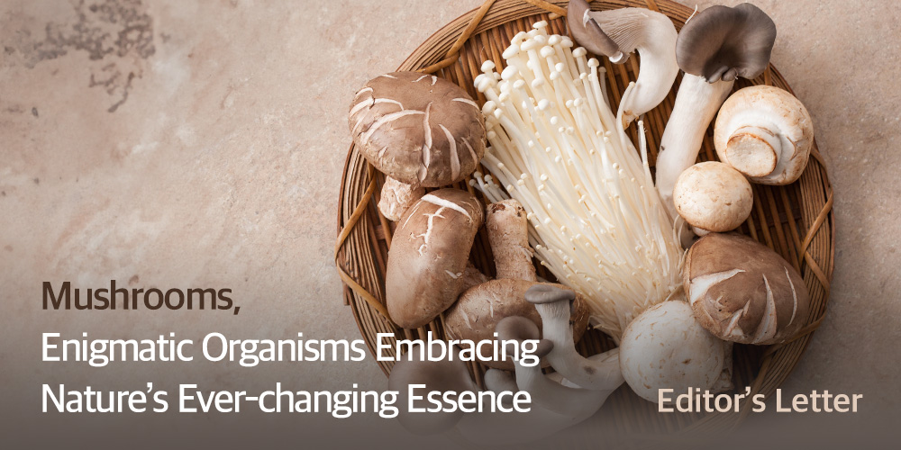 Mushrooms, Enigmatic Organisms Embracing Nature’s Ever-changing Essence Editor's Letter
