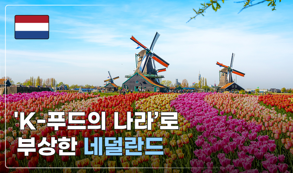 'K-푸드의 나라'로 부상한 네덜란드