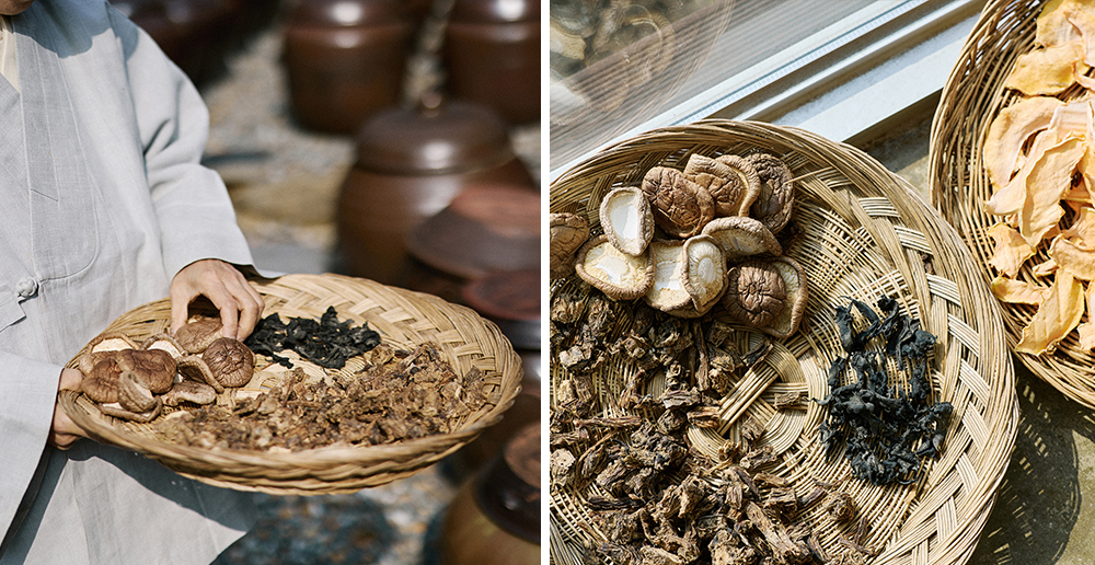 assorted mushrooms photo