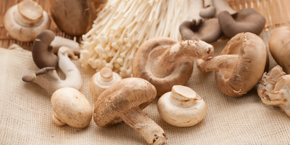 새송이버섯, 양송이버섯, 팽이버섯 등 다양한 버섯