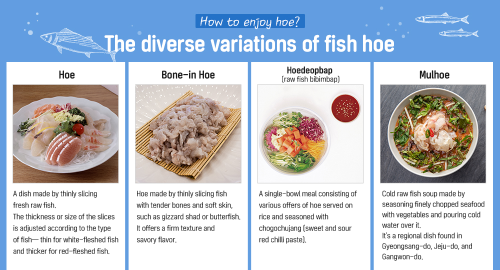 How to enjoy hoe? The diverse variations of fish hoe hoe A dish made by thinly slicing fresh raw fish. The thickness or size of the slices is adjusted according to the type of fish-thin for white-fleshed fish and thicker for red-fleshed fish. Bone-in Hoe Hoe made by thinly slicing fish with tender bones and soft skin, such as gizzard shad or butterfish. It offers a firm texture and savory flavor. Hoedeopbap(raw fish bibimbap) A single-bowl meal consisting of various offers of hoe served on rice and seasoned with chogochujang (sweet and sour red chilli paste). Mulhoe Cold raw fish soup made by seasoning finely chopped seafood with vegetables and pouring cold water over it. It's a regional dish found in Gyeongsang-do, Jeju-do, and Gangwon-do.