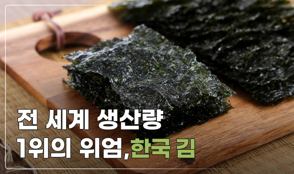 전 세계 생산량 1위의 위엄, 한국 김