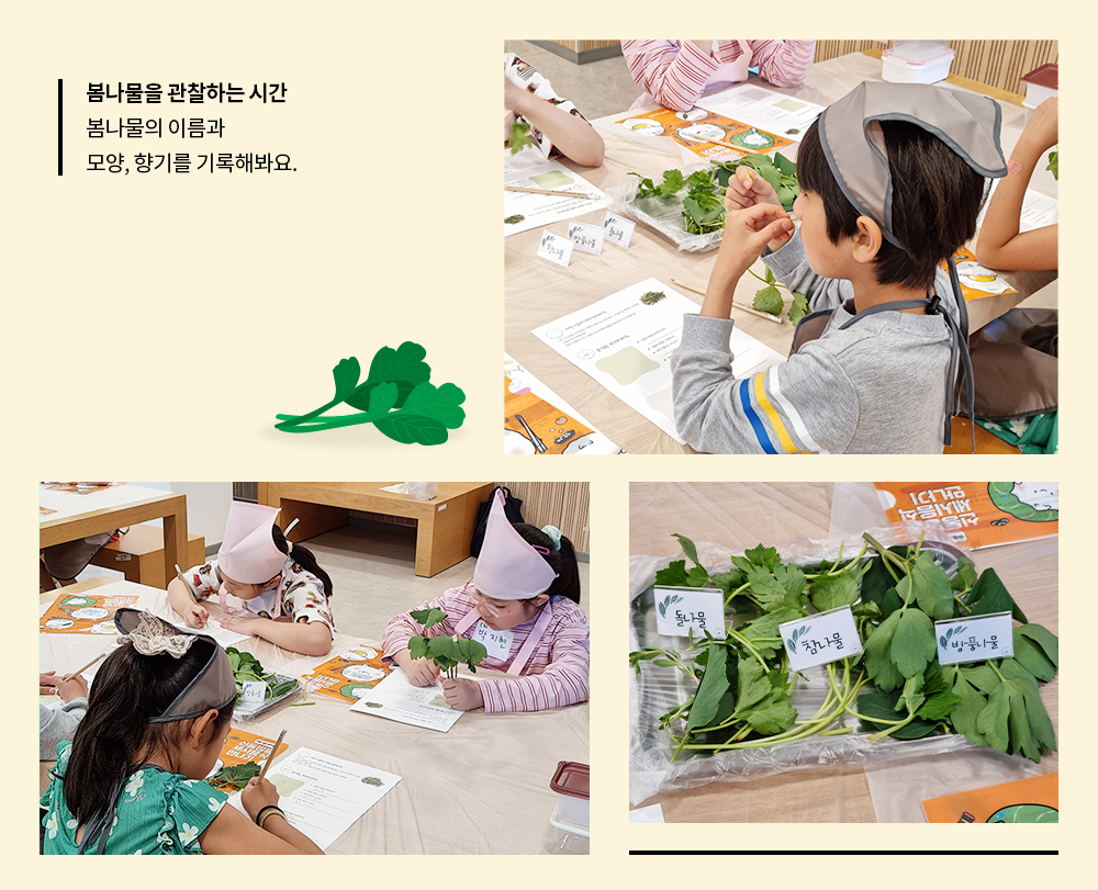 봄나물을 관찰하는 시간 봄나물의 이름과 모양, 향기를 기록해봐요.
