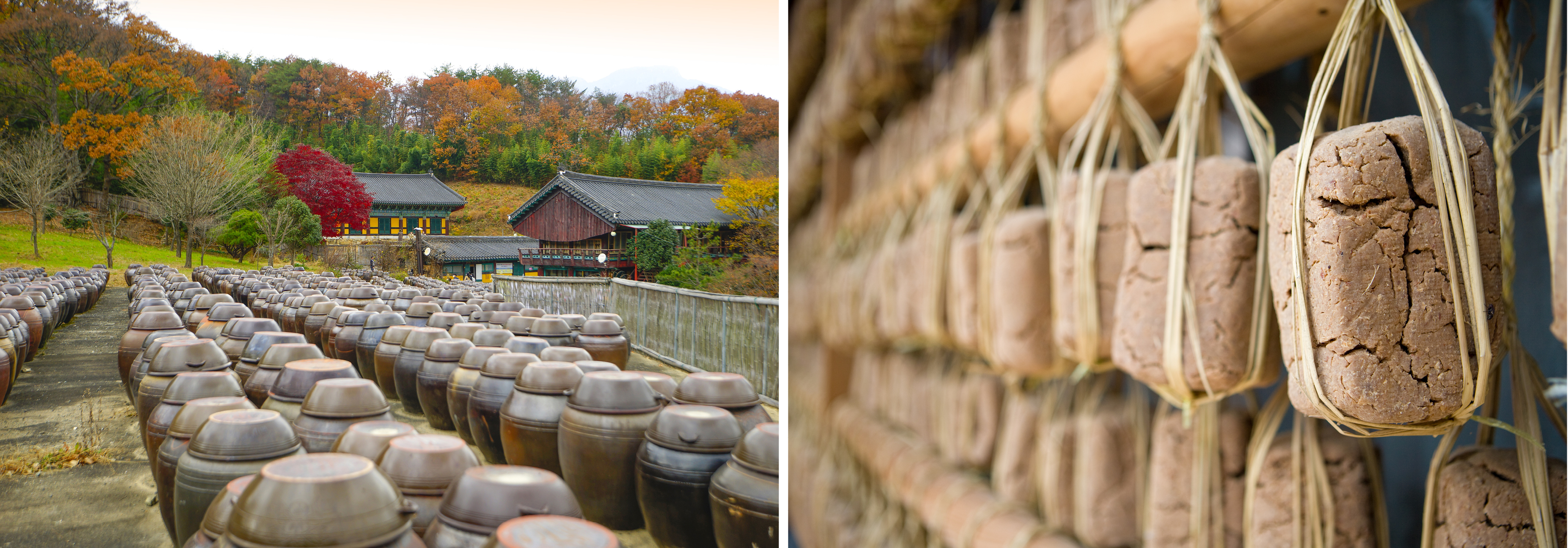 Korean Cuisine: Where Ancestral Wisdom Meets Zero Waste