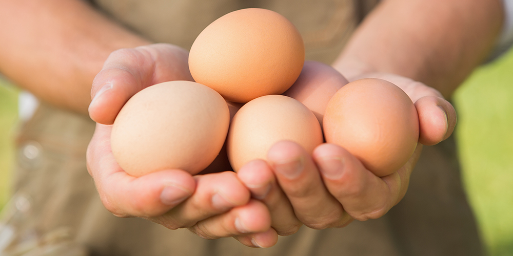 eggs