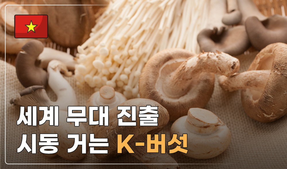 세계 무대 진출 시동 거는 K-버섯