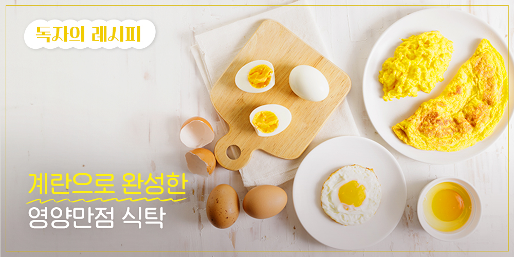 독자의 레시피 계란으로 완성한 영양만점 식탁