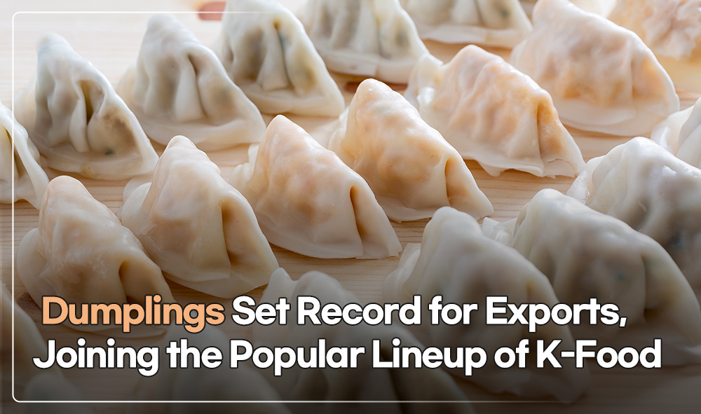 Dumplings Set Record for Exports, Joining the Popular Lineup of K-Food