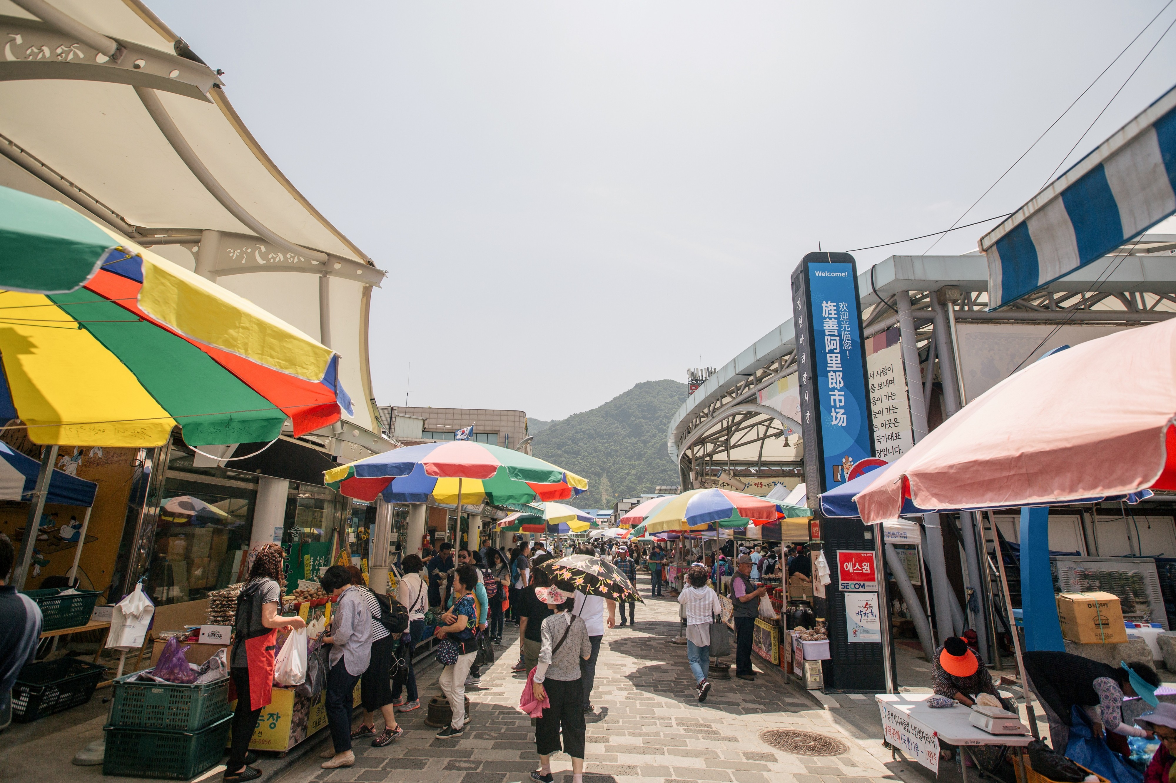 한식 읽기 좋은 날