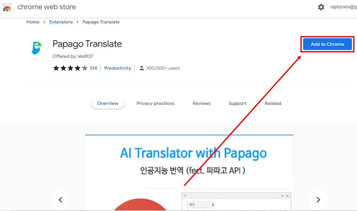 Papago Translation Chrome Additional Extension